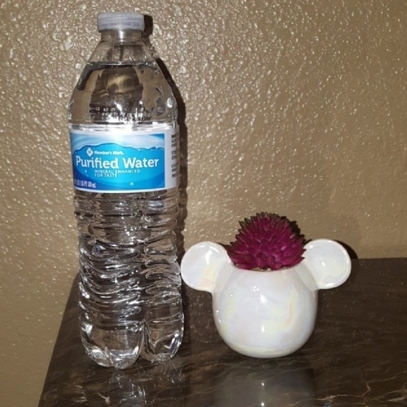 Disney Other - DISNEY MICKEY MOUSE ARTIFICIAL SUCCULENT